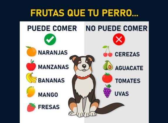 frutas que pueden comer los perros