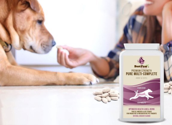 vitaminas para perros adultos